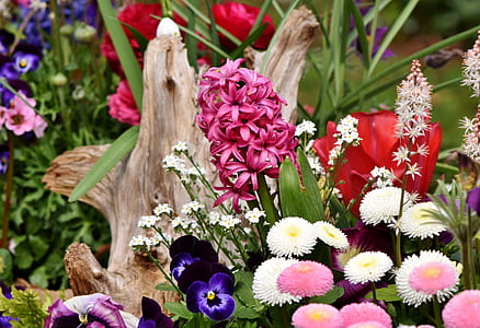 assorted-color flowers thumbnail