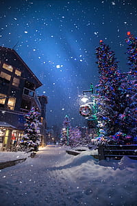 lighted house beside Christmas tree covered by snow thumbnail