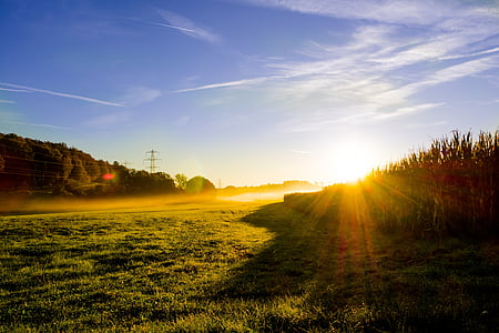 sun rays over green grass field thumbnail