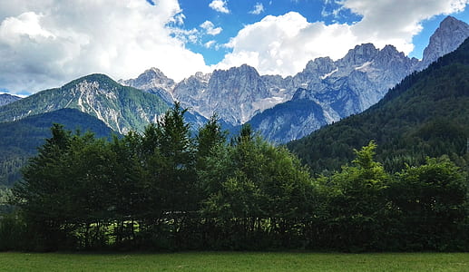 Mountain and Forest thumbnail