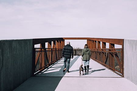 two person walking in bridge with dog under cloudy sky thumbnail