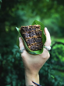 person holding pastry on leaf thumbnail