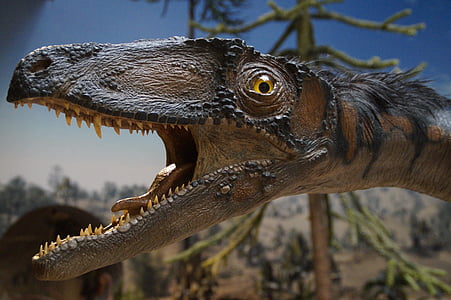 brown, black, and gray dinosaur thumbnail