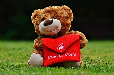 brown bear with red mail plush toy thumbnail