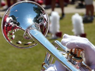 musical band on green grass field thumbnail