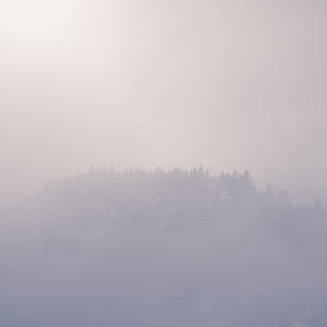 mist, fog, nature, treeline thumbnail