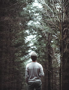 man standing beside trees and looking up thumbnail
