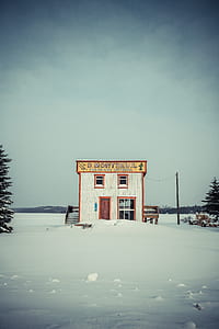 white D. Monthella store thumbnail