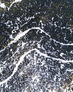 aerial photography of trees covered with snow at daytime thumbnail