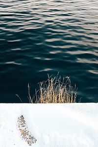 green body of water thumbnail
