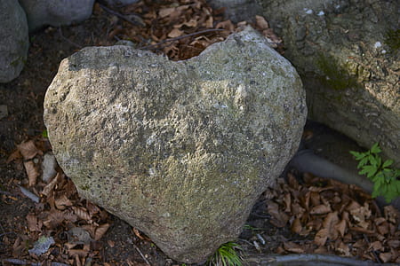 heart-shaped rock on ground thumbnail