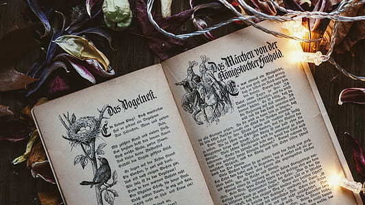 open book body with string lights thumbnail