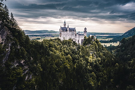 white castle surrounded by trees on top of mountain thumbnail