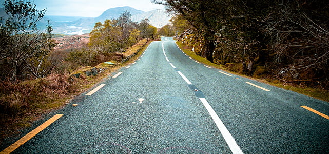 road, landscape, street, curve thumbnail