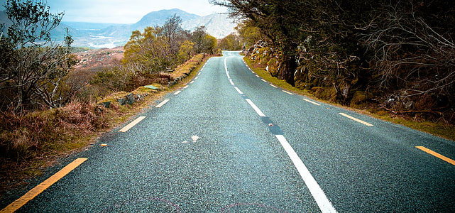 gray concrete road between trees at daytime photo thumbnail