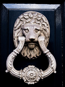 lion door knocke thumbnail