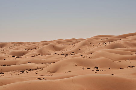 photo of desert thumbnail
