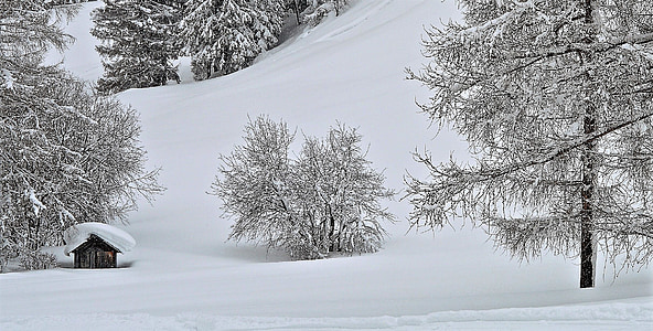 brown house in the middle of snow covered mountain thumbnail