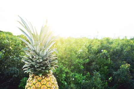close-up photography of yellow pineapple fruit thumbnail