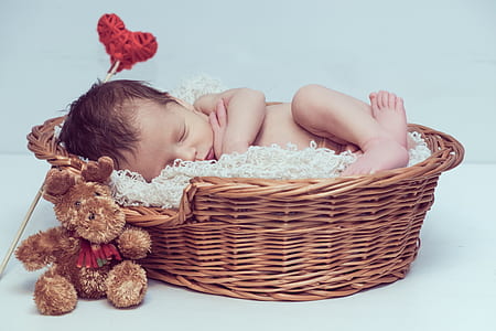 baby sleeping inside wicker bassinet beside moose plush toy thumbnail