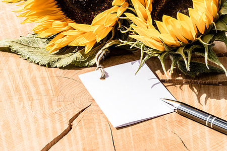 white printer paper near sunflower thumbnail