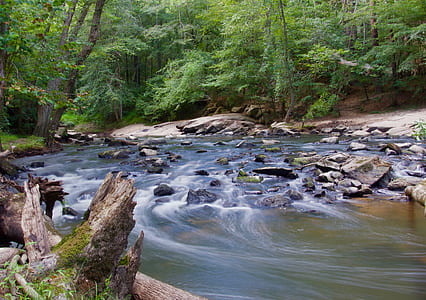 Stream in a Forest With Grey Rocks thumbnail