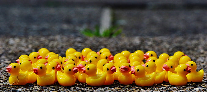 rubber duckies thumbnail