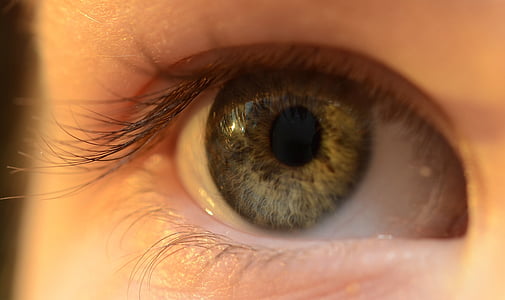 right human eye thumbnail