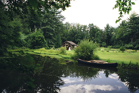 photo of brown house surrounded by trees thumbnail