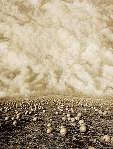 brown fruits on brown floor under white clouds painting thumbnail