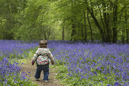 toddler surrounded by bed of lavender flowers thumbnail