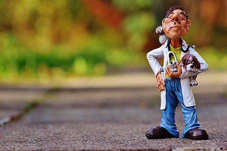 stilt photography doctor holding pet thumbnail