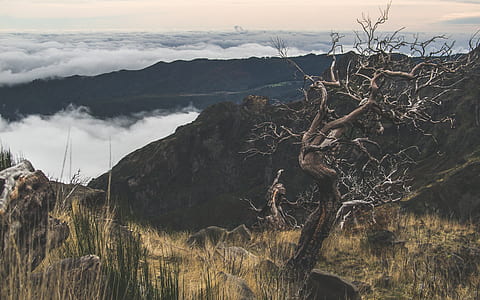 Mountain Scenery thumbnail