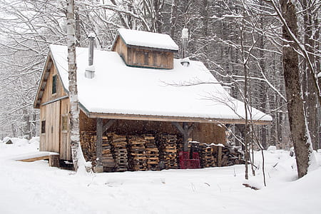 brown wooden house covered with snow surrounded by bare trees thumbnail