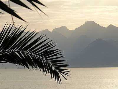 silhouette of tree and mountain near of body of water thumbnail