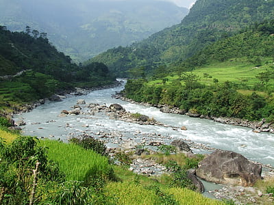 river on forest thumbnail