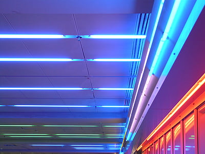 turned-on neon lights thumbnail