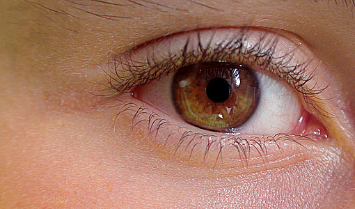 close up photograph of human eye thumbnail