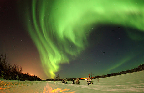 photo of Aurora Moralists thumbnail