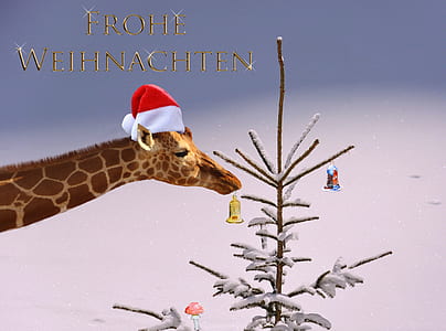 giraffe with Christmas hat illustration thumbnail