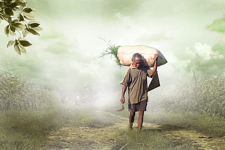 man in grey shirt carrying sack of green leaf plant thumbnail