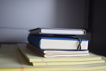 blue book thumbnail
