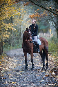 woman riding horse under tree on raod thumbnail