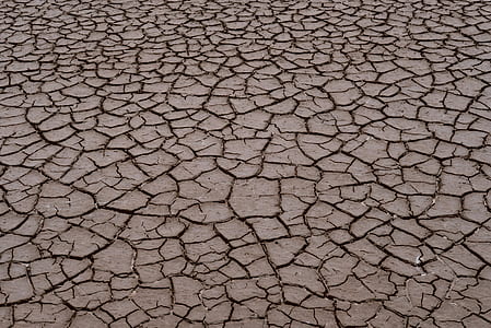 gray dry land thumbnail