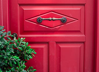 Photo of Red Door thumbnail