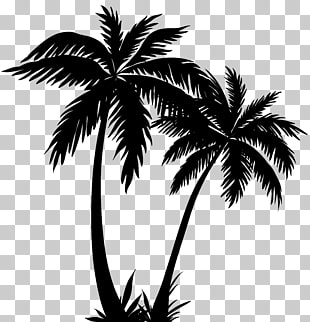 Arecaceae Silhouette Sunset, Palm Trees Silhouette PNG clipart