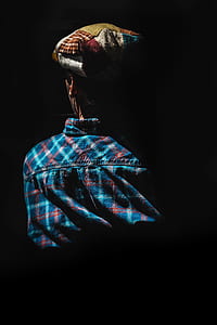 person wearing blue and red plaid sports shirt thumbnail