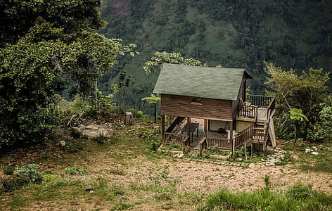 Brown and Green Wooden 2-story House Near Green Tress thumbnail