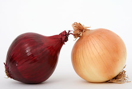two red and white onion bulbs with white background thumbnail