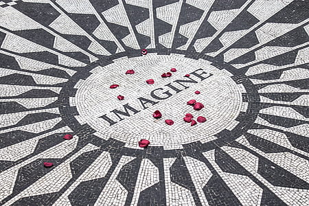 floor, petals, lettering, typography thumbnail